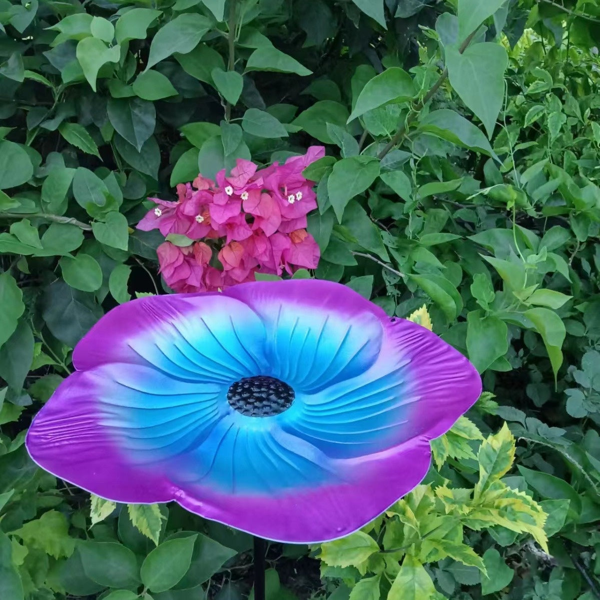 Outdoor Bird Bath & Feeder Hook