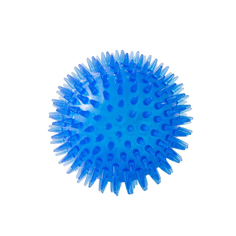 Pet Dog Toy Ball