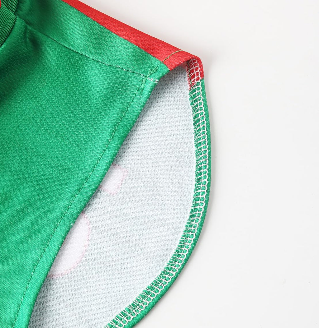 Lightweight Summer Dog Jersey