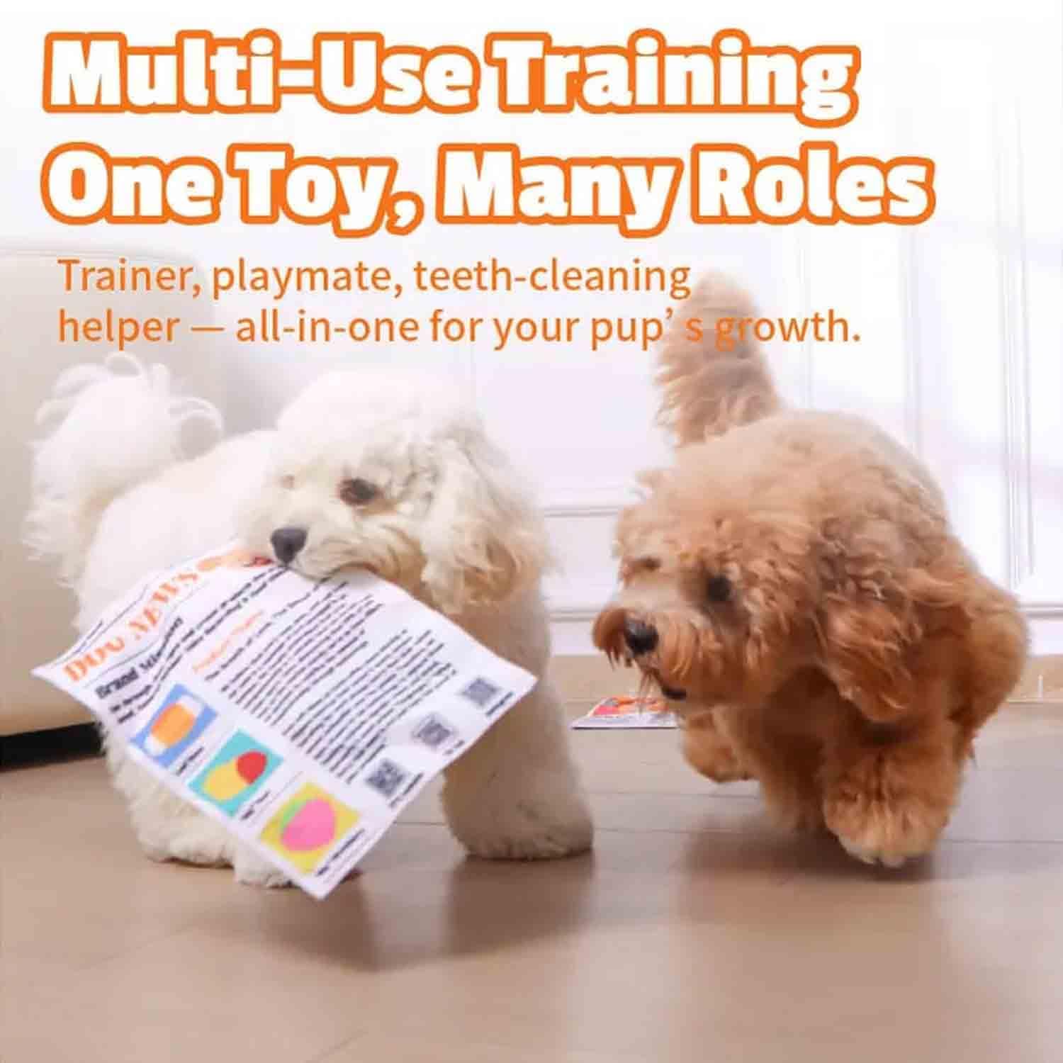 2-Pack Crinkle Newspaper Dog Toy