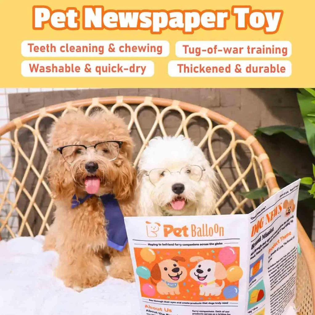 2-Pack Crinkle Newspaper Dog Toy