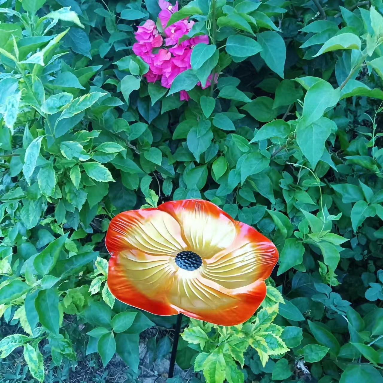 Outdoor Bird Bath & Feeder Hook