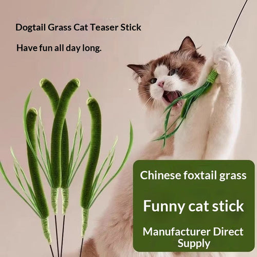 Dogtail Grass Teaser Wand Long-handled Cat Toy Pet Supplies