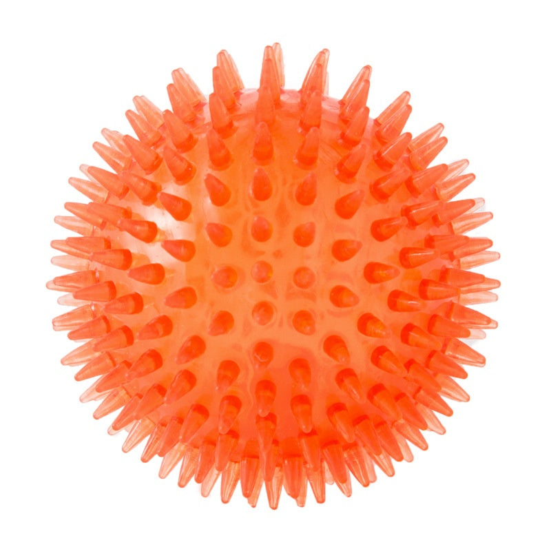 Pet Dog Toy Ball