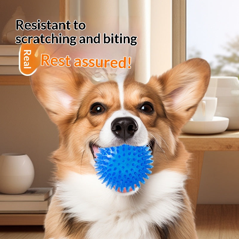 Pet Dog Toy Ball