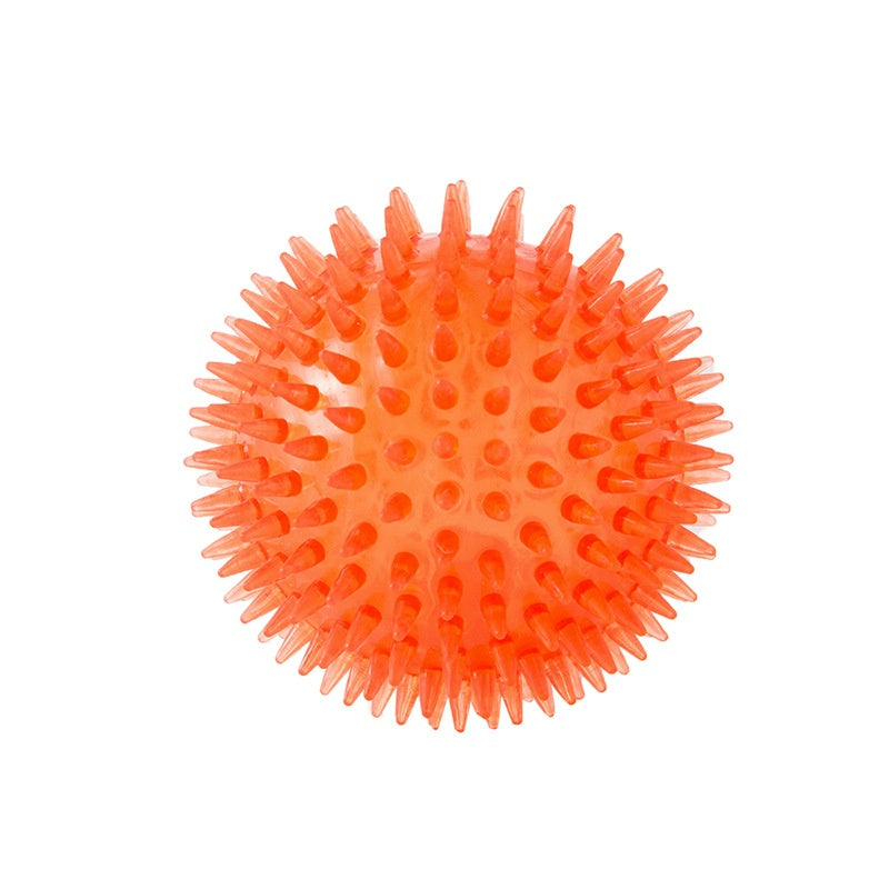 Pet Dog Toy Ball