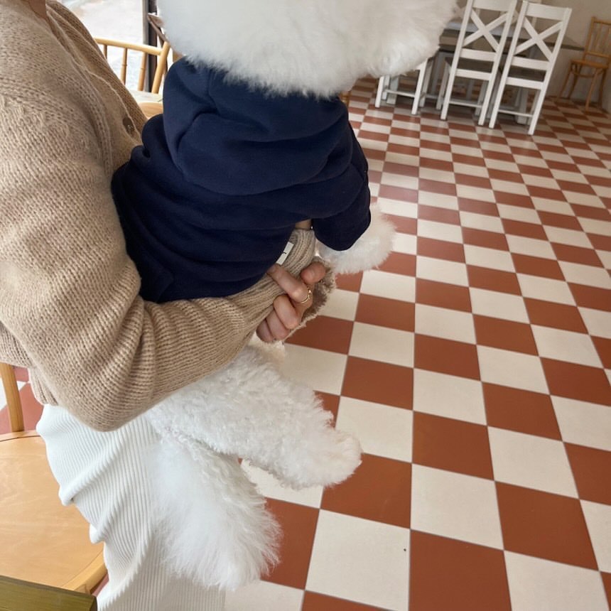 Lightweight Small Pet Outfit