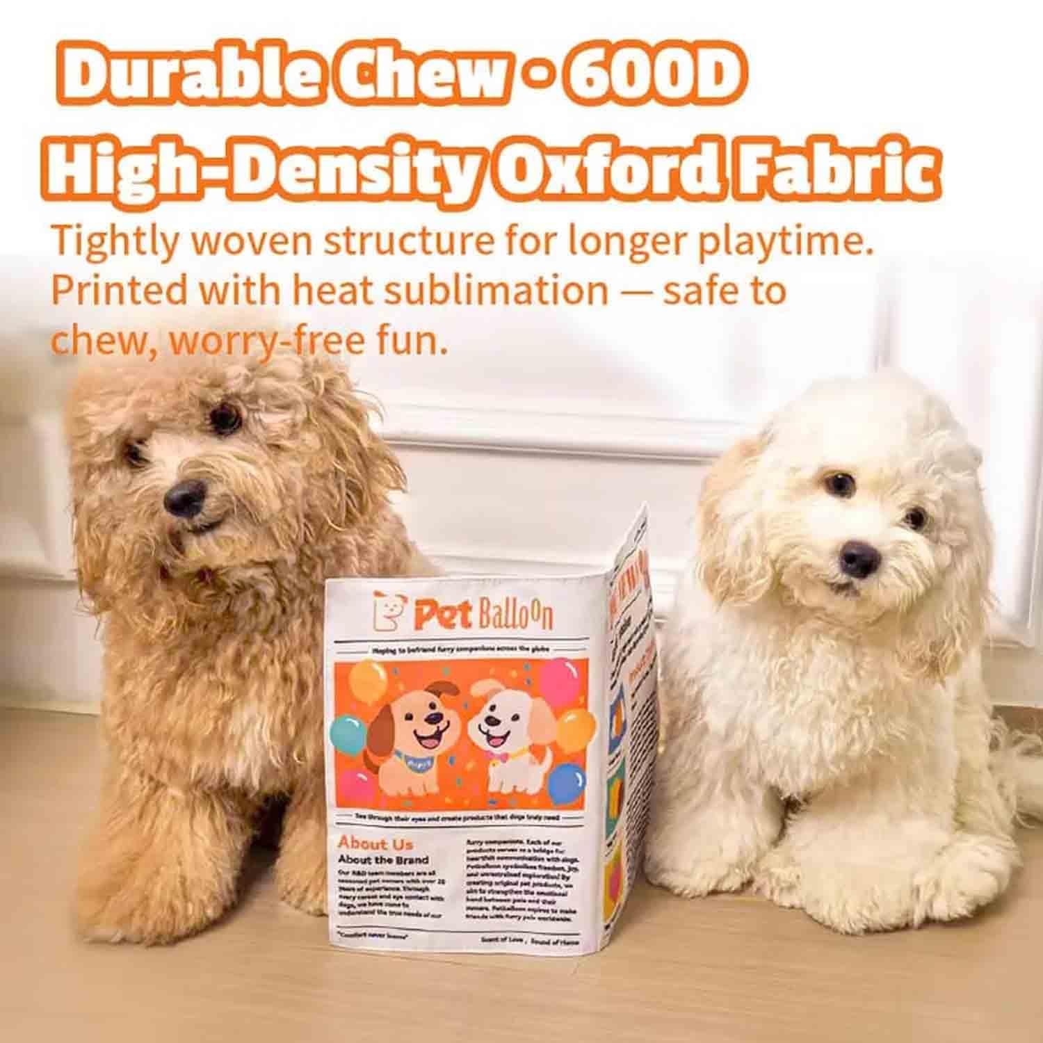 2-Pack Crinkle Newspaper Dog Toy